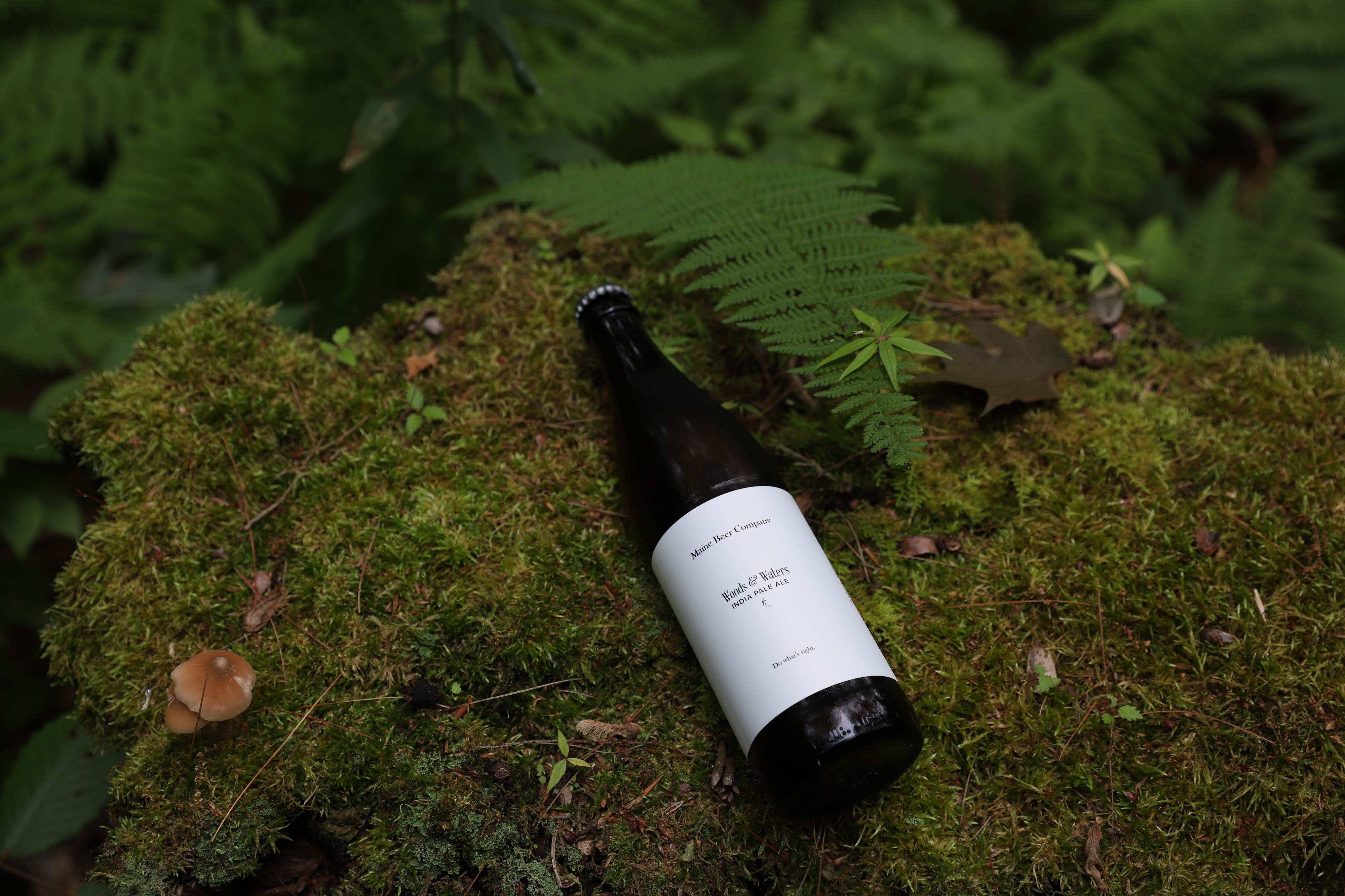 Woods & Waters on moss