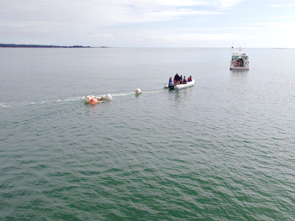 Removal on Floats