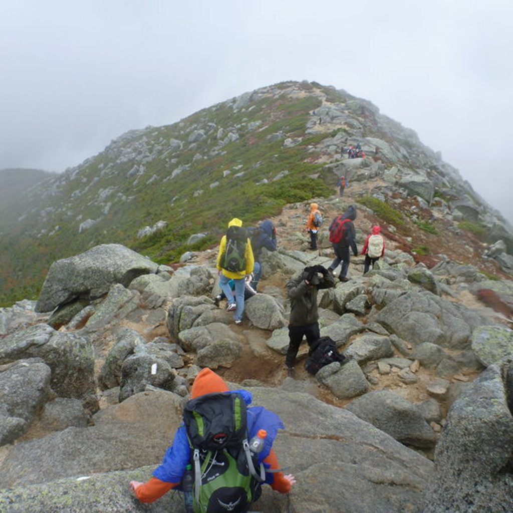 May's Selection: Teens to Trails